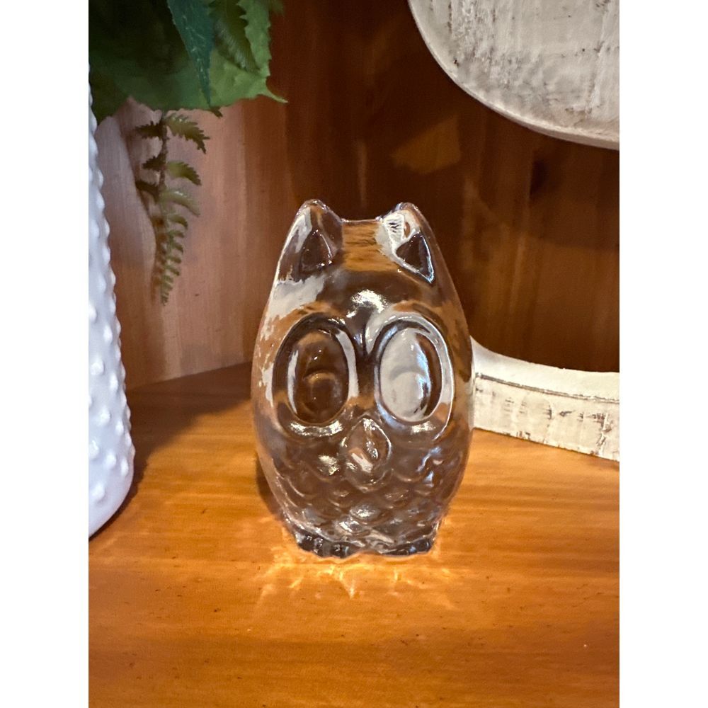 Mid Century‎ Glass Owl Paperweight Owl Clear MCM